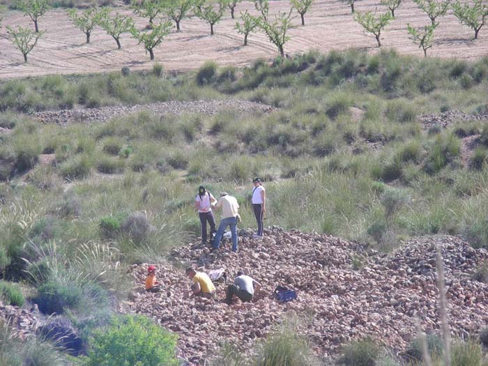 Minas del Carmen. La celia. Jumilla. Murcia